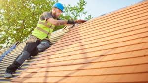 Best Roof Moss and Algae Removal  in Holtville, CA