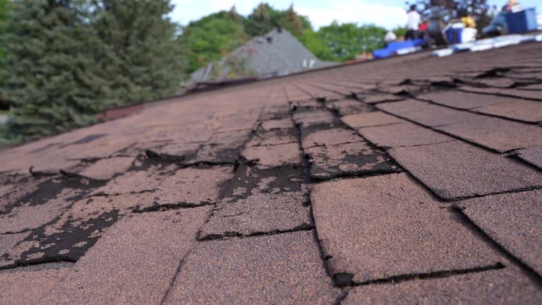 Best Asphalt Shingles Roofing  in Holtville, CA