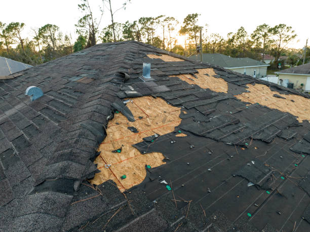 Best Gutter Installation and Repair  in Holtville, CA