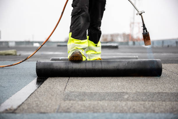 Best Chimney Flashing Repair  in Holtville, CA