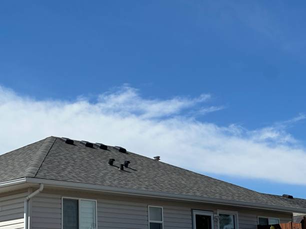 Best Steel Roofing  in Holtville, CA
